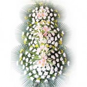 근조화한 특